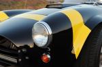Shelby Cobra 289 FIA 2012 года